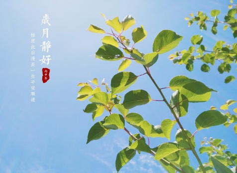 愿歲月靜好，山河無恙