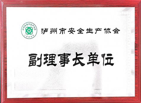 瀘州市安全生產協(xié)會副理事長單位